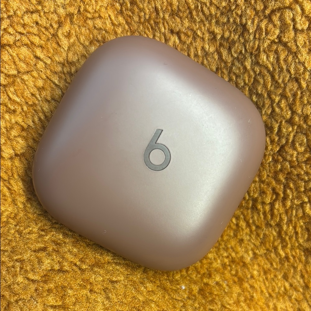 Beats Wireless Earbuds Case in Brown